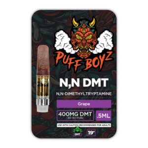 Puff Boyz -NN DMT .5ML(400MG)
